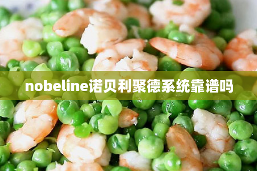 nobeline诺贝利聚德系统靠谱吗