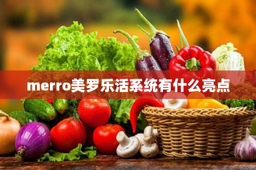 merro美罗乐活系统有什么亮点
