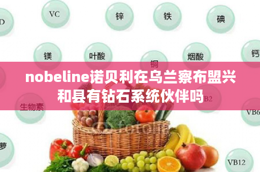nobeline诺贝利在乌兰察布盟兴和县有钻石系统伙伴吗