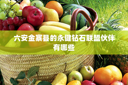 六安金寨县的永健钻石联盟伙伴有哪些
