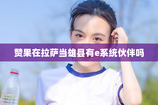 赞果在拉萨当雄县有e系统伙伴吗