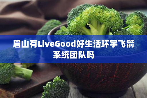 眉山有LiveGood好生活环宇飞箭系统团队吗
