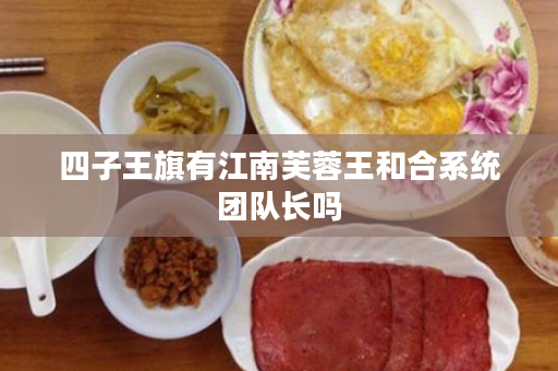 四子王旗有江南芙蓉王和合系统团队长吗