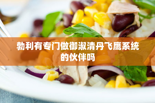 勃利有专门做御淑清丹飞鹰系统的伙伴吗