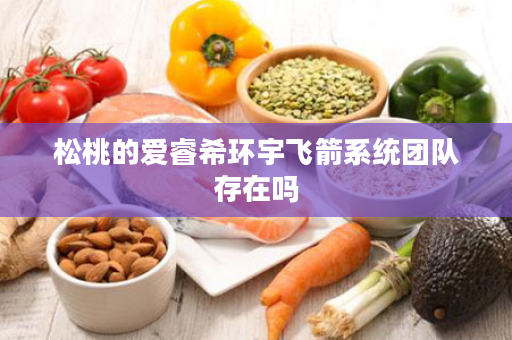 松桃的爱睿希环宇飞箭系统团队存在吗