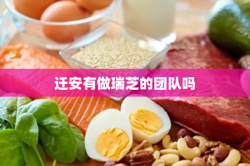 迁安有做瑞芝的团队吗
