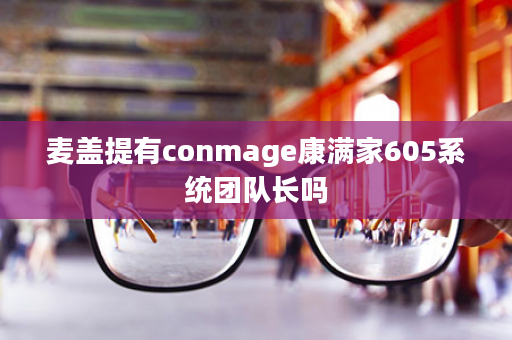 麦盖提有conmage康满家605系统团队长吗