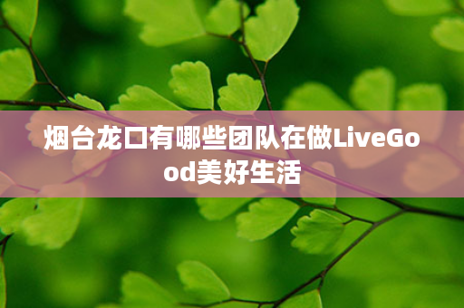 烟台龙口有哪些团队在做LiveGood美好生活