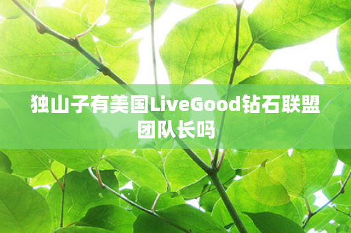 独山子有美国LiveGood钻石联盟团队长吗