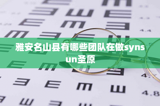 雅安名山县有哪些团队在做synsun圣原