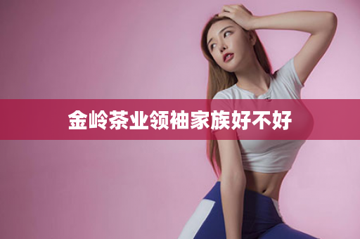 金岭茶业领袖家族好不好