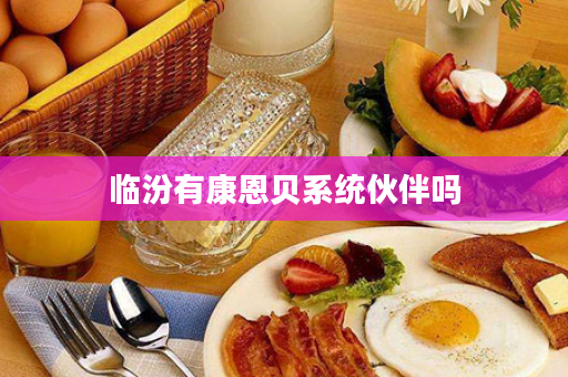 临汾有康恩贝系统伙伴吗