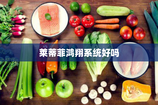 莱蒂菲鸿翔系统好吗