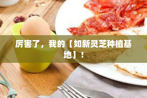 厉害了，我的【如新灵芝种植基地】！