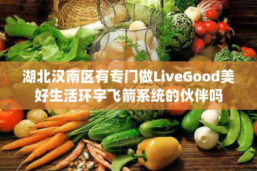 湖北汉南区有专门做LiveGood美好生活环宇飞箭系统的伙伴吗