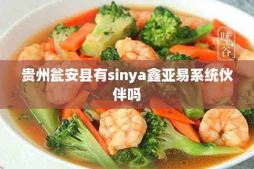 贵州瓮安县有sinya鑫亚易系统伙伴吗