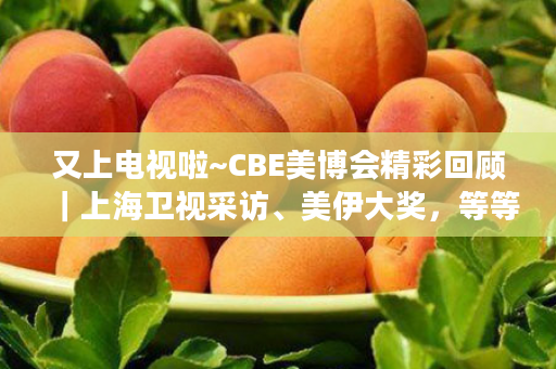 又上电视啦~CBE美博会精彩回顾｜上海卫视采访、美伊大奖，等等！