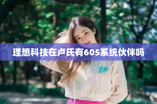 理想科技在卢氏有605系统伙伴吗