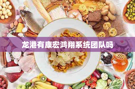 龙港有康宏鸿翔系统团队吗