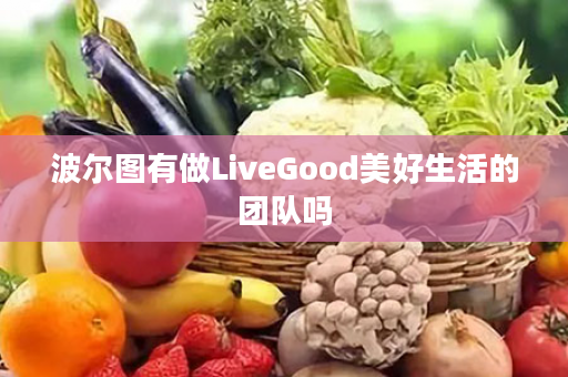 波尔图有做LiveGood美好生活的团队吗
