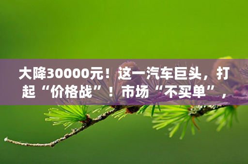 大降30000元！这一汽车巨头，打起“价格战”！市场“不买单”，股价也大跌→