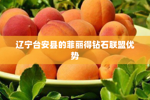 辽宁台安县的菲丽得钻石联盟优势