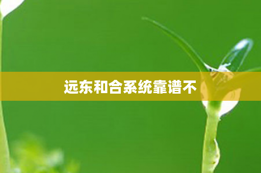 远东和合系统靠谱不
