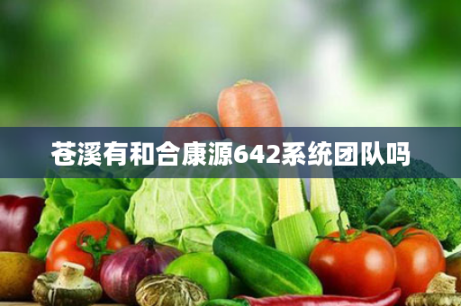 苍溪有和合康源642系统团队吗