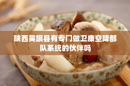 陕西吴旗县有专门做卫康空降部队系统的伙伴吗