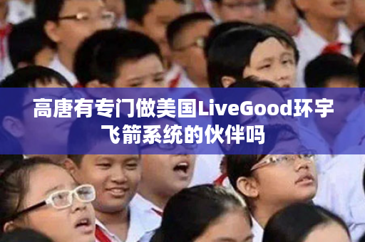 高唐有专门做美国LiveGood环宇飞箭系统的伙伴吗