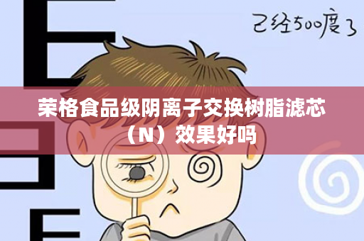 荣格食品级阴离子交换树脂滤芯（N）效果好吗