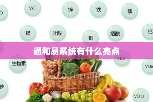 通和易系统有什么亮点