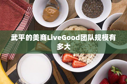 武平的美商LiveGood团队规模有多大