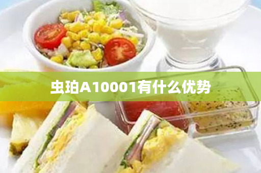 虫珀A10001有什么优势