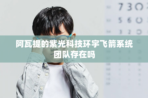 阿瓦提的紫光科技环宇飞箭系统团队存在吗