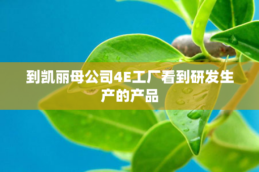 到凯丽母公司4E工厂看到研发生产的产品