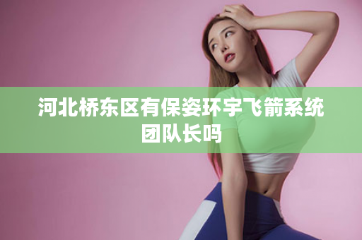 河北桥东区有保姿环宇飞箭系统团队长吗