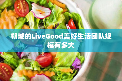 朔城的LiveGood美好生活团队规模有多大