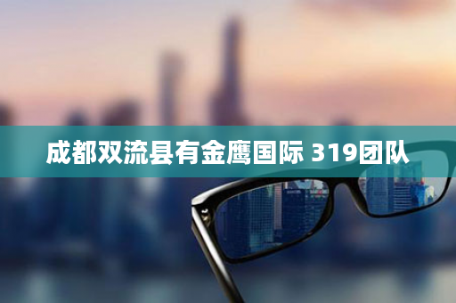 成都双流县有金鹰国际 319团队