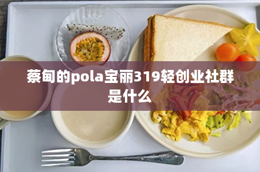 蔡甸的pola宝丽319轻创业社群是什么