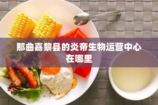 那曲嘉黎县的炎帝生物运营中心在哪里