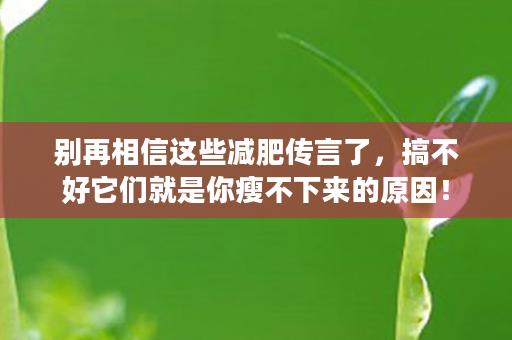 别再相信这些减肥传言了，搞不好它们就是你瘦不下来的原因！
