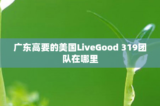 广东高要的美国LiveGood 319团队在哪里