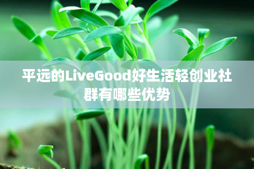 平远的LiveGood好生活轻创业社群有哪些优势