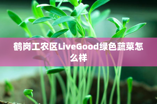 鹤岗工农区LiveGood绿色蔬菜怎么样