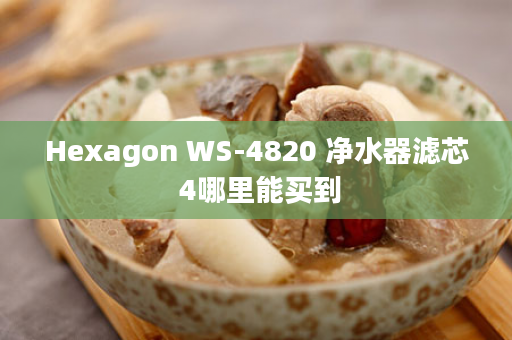 Hexagon WS-4820 净水器滤芯 4哪里能买到