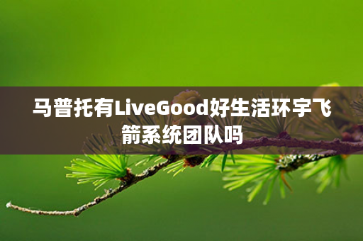 马普托有LiveGood好生活环宇飞箭系统团队吗