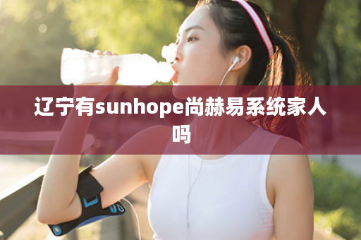 辽宁有sunhope尚赫易系统家人吗