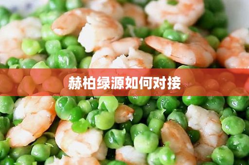 赫柏绿源如何对接