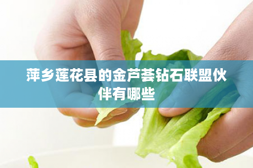 萍乡莲花县的金芦荟钻石联盟伙伴有哪些